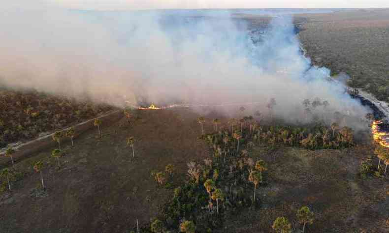 Incndio na rea de Proteo Ambiental Estadual (APA) de Coch e Gibo, na Zona Rural de Bonito de Minas, e da APA Pandeiros, Zona Rural de Januria