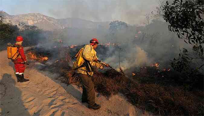 As chamas consumiram mais de seis mil hectares de vegetao(foto: Gladyston Rodrigues/EM/D.A.Press)