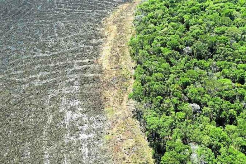 terras devastadas ao lado de floresta