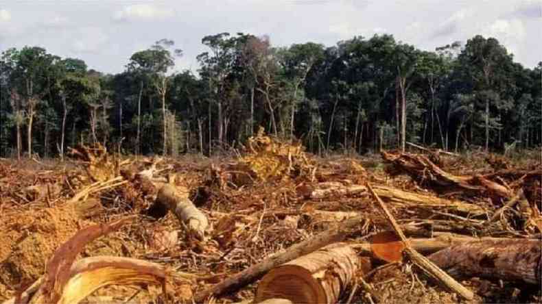 Desmatamento na Amaznia atingiu em 2020 o maior ndice dos ltimos 12 anos(foto: Getty Images)