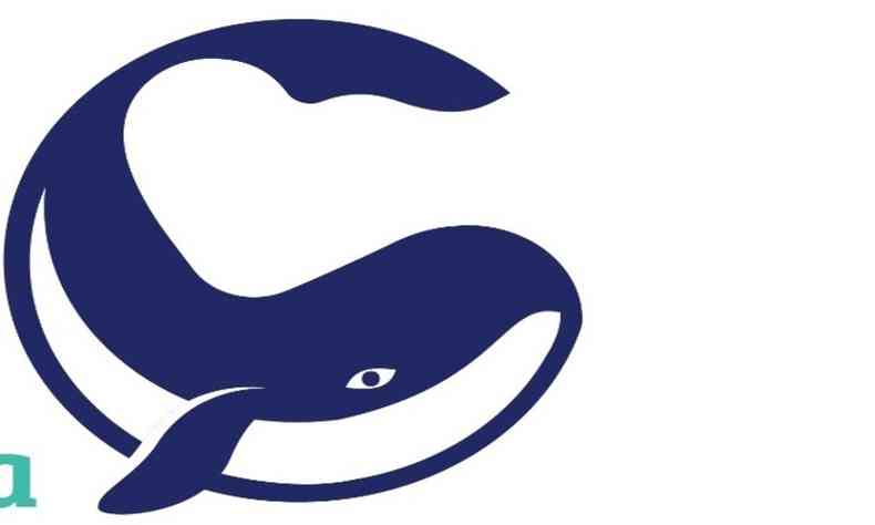 Nova Logo Hospital da Baleia