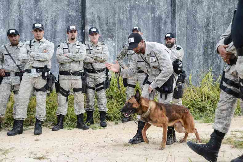 Policiais o ar livre treinam cachorro