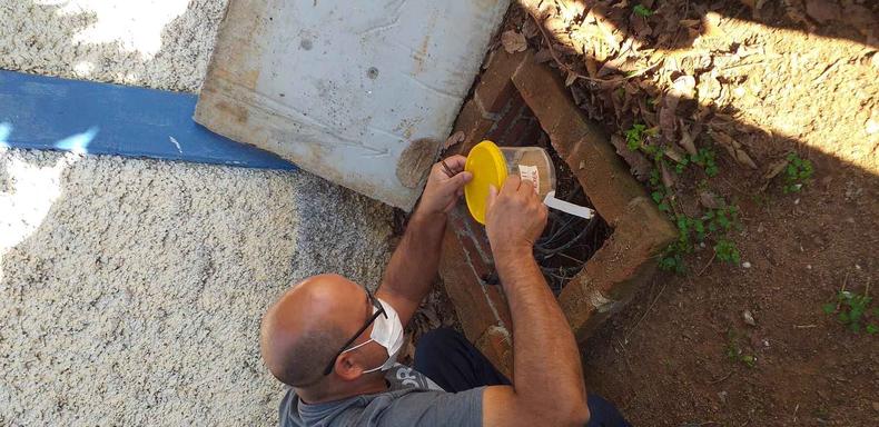 Agente da Vigilncia Ambiental de Andradas captura um escorpio