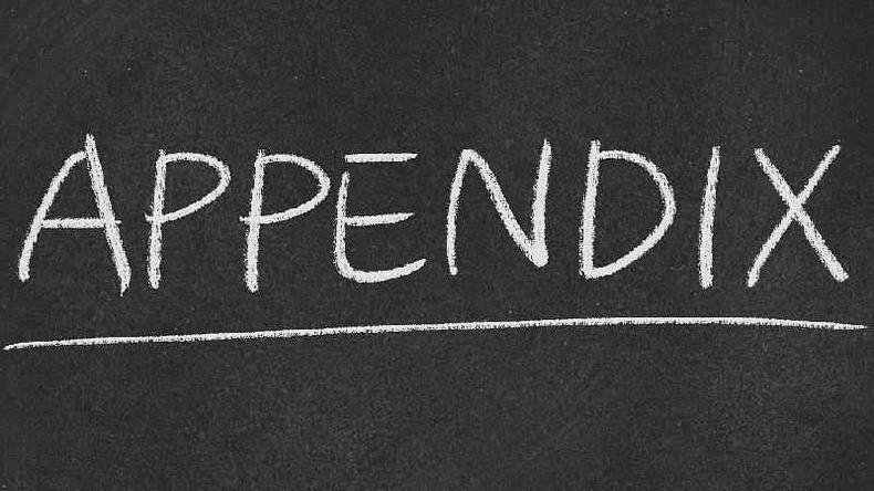 Appendix
