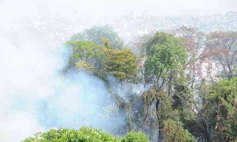 Fumaa tomou Parque Ursulina de Andrade Melo, em BH, que j perdeu 30% de sua vegetao, destruda pelas chamas(foto: Juarez Rodrigues/EM/DA Press)
