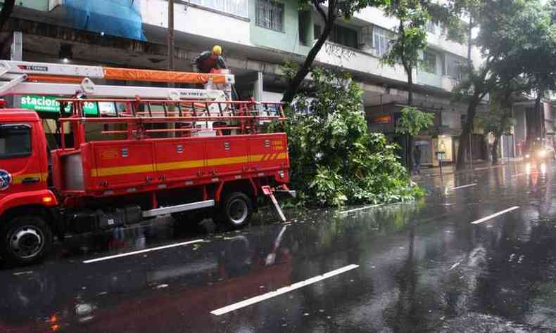 Em dias de muita chuva,  comum a queda de rvores(foto: Edsio Ferreira/EM/D.A Press)