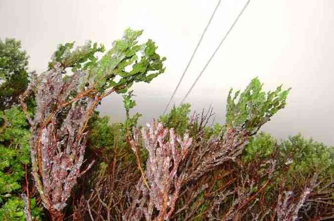 Em Urupema, no Morro das Torres, a temperatura mnima registrada durante a madrugada foi de -0,2C, mais com sensao trmica muito menor(foto: Marlia Oliveira/Prefeitura de Urupema)