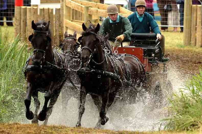 O duque continuou a competir nos esportes mais tarde em sua vida, incluindo este evento de conduo de carruagens em Sandringham, no ano de 2005(foto: PA)