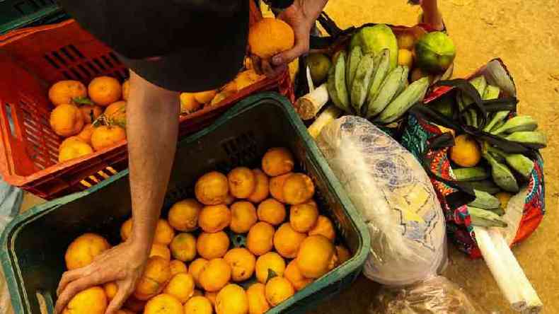 Mais de 20 produtos fizeram parte da cesta de alimentos doadas a moradores da Brasilândia(foto: Alexandre Schneider/Instituto Brasil a Gosto)
