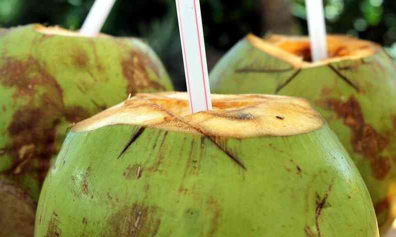 gua de coco, soluo milagrosa na crena de Bolsonaro(foto: Pixabay)