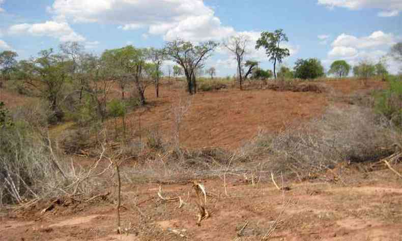 rea de caatinga desmatada no Norte de Minas: quase metade da cobertura original do bioma no estado j foi destruda(foto: Mrio Lcio/Divulgao)