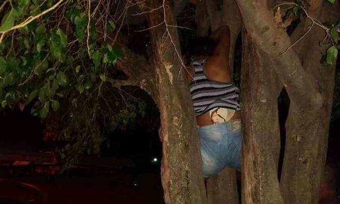 Mulher ficou presa entre galhos da árvore(foto: Corpo de Bombeiros/Divulgação) Mulher ficou presa entre galhos da árvore(foto: Corpo de Bombeiros/Divulgação)