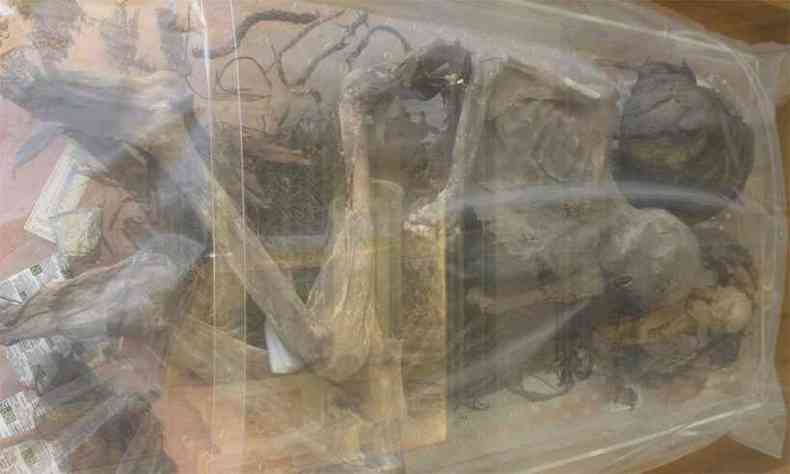 Entre os exemplares mais famosos que compunham o acervo, vindos do Egito, estavam tambm indgenas (acima) mumificados naturalmente em cavernas da Zona da Mata 