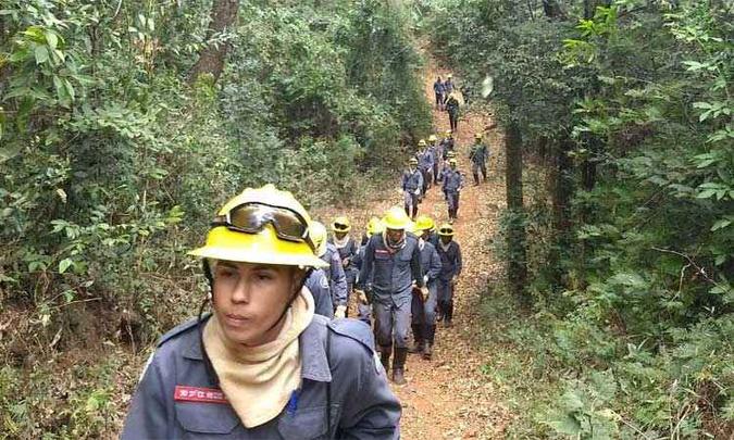 (foto: Divulgação/Corpo de Bombeiros) (foto: Divulgação/Corpo de Bombeiros)