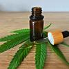 Maconha aumenta desejo sexual e intensidade do orgasmo, sugere estudo