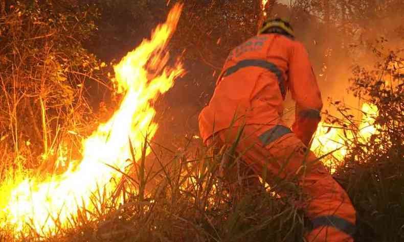 Minas em chamas. Bombeiros registram série de incêndios no estado(foto: Divulgação/Corpo de Bombeiros)