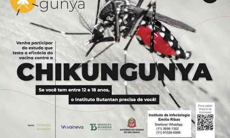 cartaz Emlio Ribas com mosquito da dengue