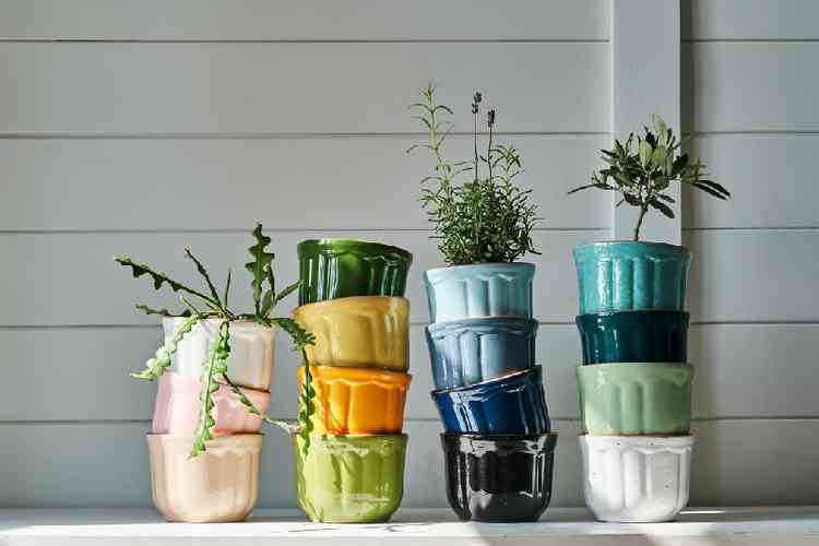Vrios vasos de plantas coloridos, um dentro do outro