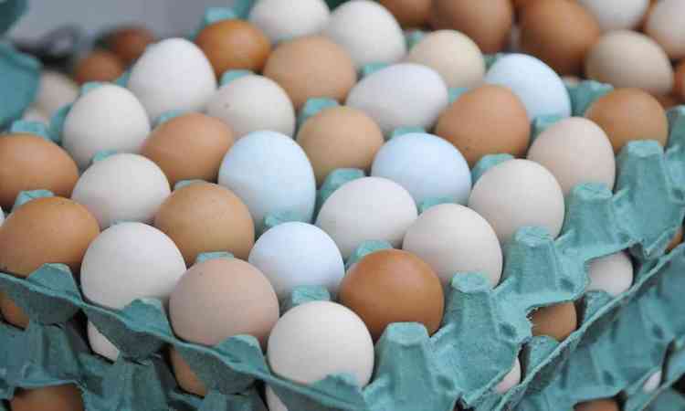 Caixa de ovos com cascas azuis, brancas e vermelhas
