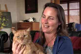 Kim Edwards mostra o gato Rory já recuperado(foto: Reprodução Internet / www.lifewithcats.tv)