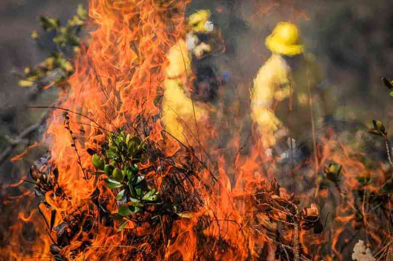 Brigadistas combatem incndio na Serra do Rola Moa em julho de 2021