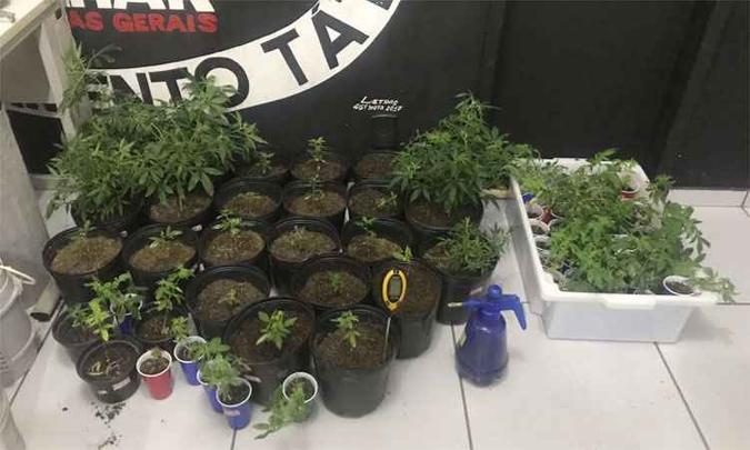 (foto: Polícia Militar/Divulgação) (foto: Polícia Militar/Divulgação)