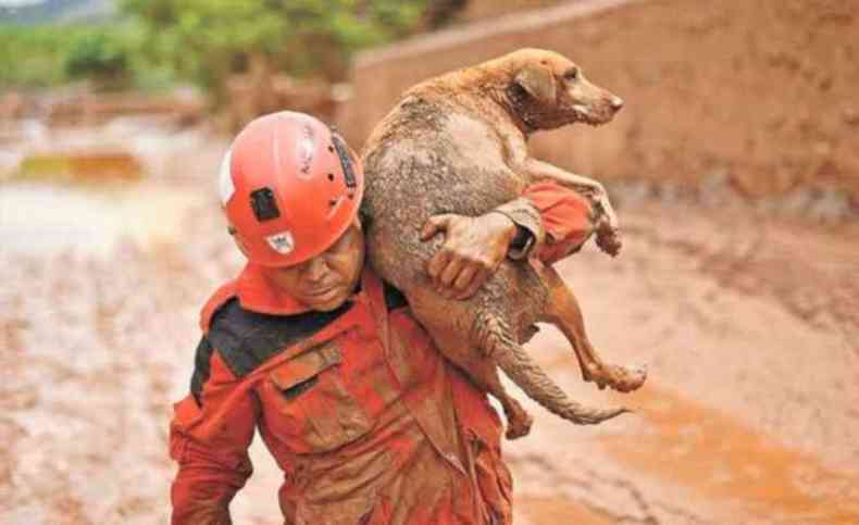 Imagem do resgate do cachorro da lama rodou o mundo (foto: AFP)