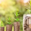 Capitalismo consciente & sustentabilidade