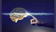 Quem pode realmente ser neurocientista?