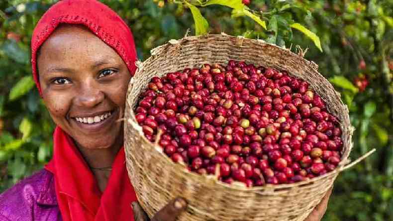 Uma mulher na Etiópia mostra uma cesta de cerejas de café recém-colhidas