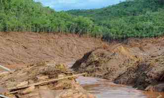 A Samarco informou que lama do Fundo se acumulou em reas consideradas crticas no Rio Gualaxo do Norte(foto: Leandro Couri/EM/DA Press)