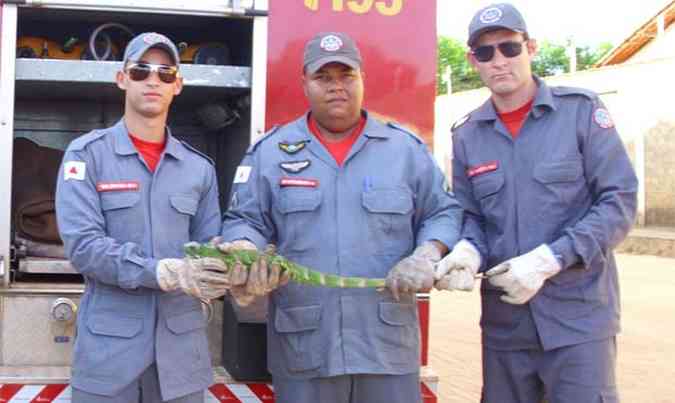 (foto: Divulgao Corpo de Bombeiros de Januria)