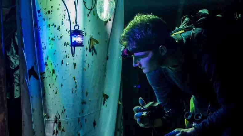 Em um cômodo escuro, pesquisador observa insetos em um pano com a ajuda de uma luz