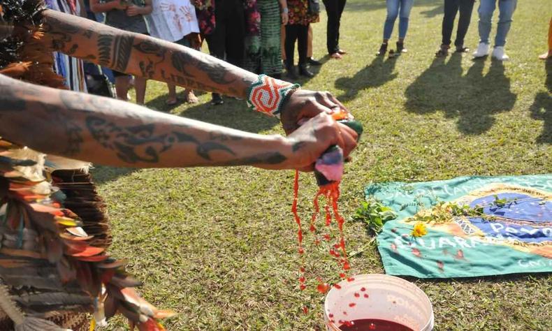 Povos indgenas fazem ato contra o extermnio dos povos indgenas e pelos povos Guarani e Kaiow, no gramado em frente a reitoria da UFMG
