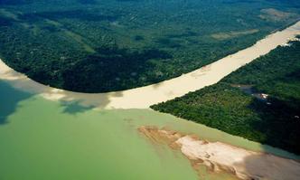 Floresta Amazonica 