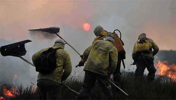 Combatentes usam abafadores para conter as chamas que destroem o parque (foto: Leandro Couri/EM/D.A.Press)