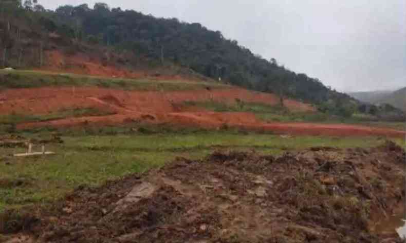 rea desmatada corresponde a 20 hectares de Mata Atlntica(foto: Polcia Militar de Meio Ambiente / Divulgao)