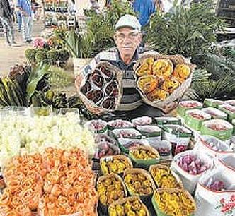 M�rio de Melo hoje cultiva esp�cies 