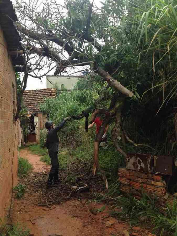 Uma casa, localizada no Bairro Casa Branca, Regio Leste de BH, foi atingida por uma rvore que caiu sobre o telhado e parte de uma das paredesCorpo de Bombeiros/Divulgao