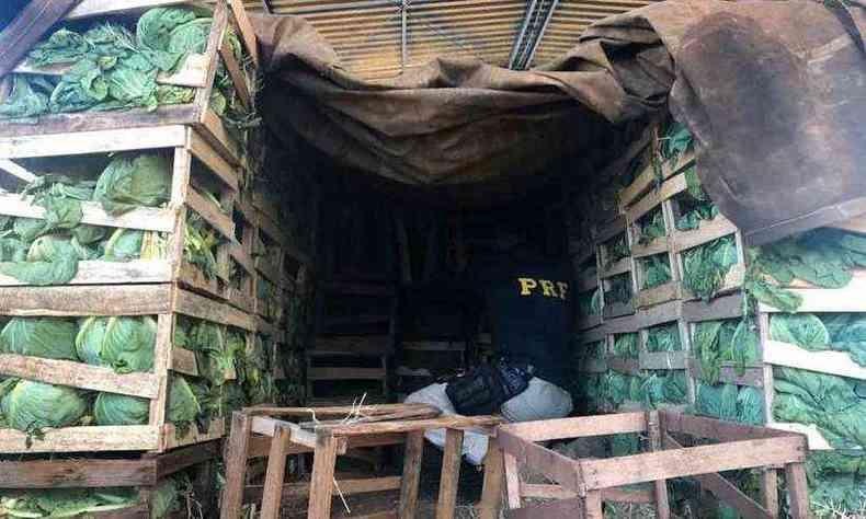 Depois de motorista cometer infrao, agentes localizaram mais de trs toneladas da erva entre ps de repolho, onde havia tambm 50 quilos de cocana(foto: PRF/Divulgao)