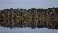 Dinamarca pretende doar R$ 100 milhões ao Fundo Amazônia