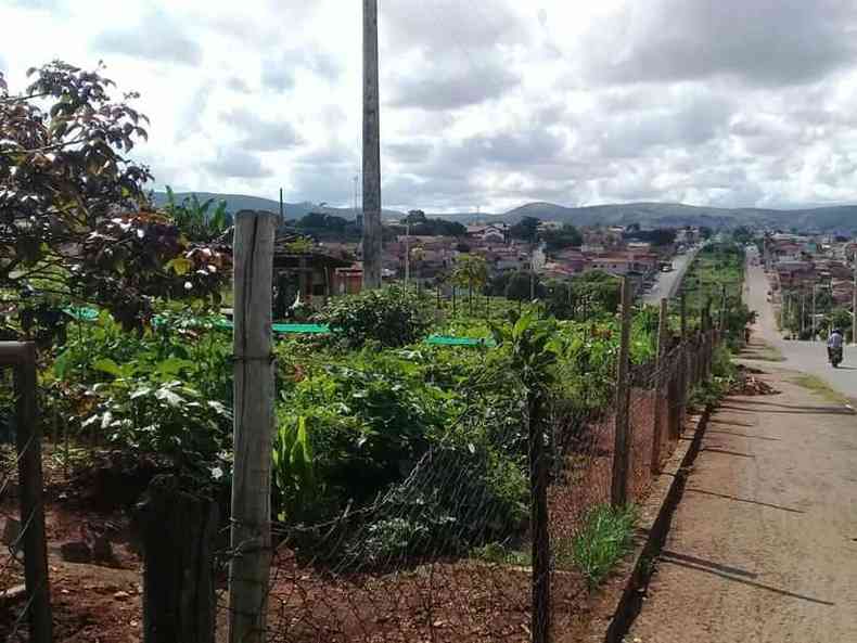 So sete hortas comunitrias urbanas na cidade de Sete Lagoas, o que totaliza 24 km de plantio(foto: Srgio Fraga/Arquivo pessoal)