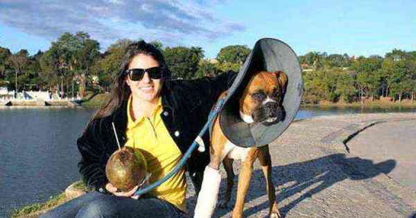 Gata que pode ser a mais velha do mundo morre com quase 29 anos em MG, Zona da Mata