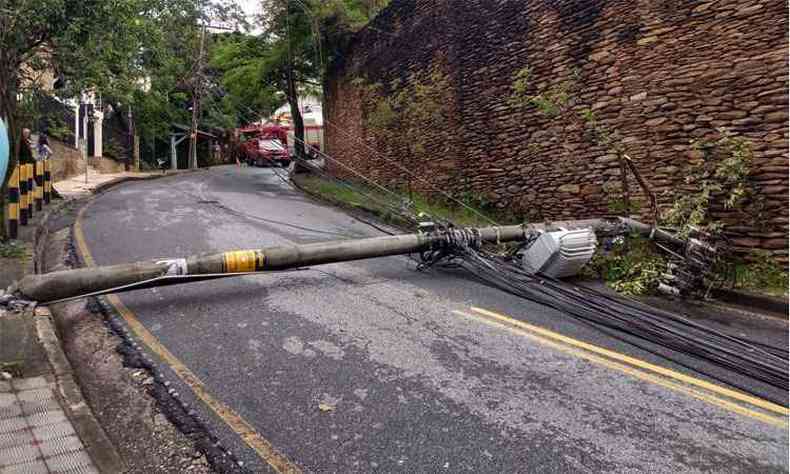 A queda da rvore na Rua Patagnia, no Bairro Sion, provocou a derrubada de um poste de luz(foto: Divulgao/ Corpo de Bombeiros)