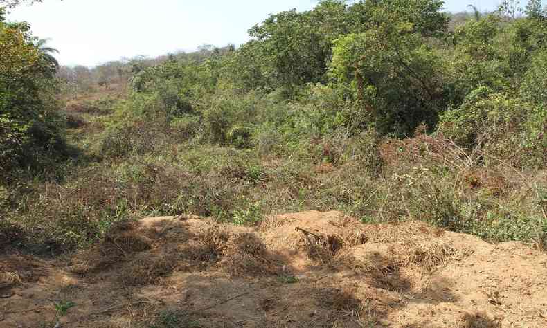 Desmatamento em Esmeraldas, na Grande BH