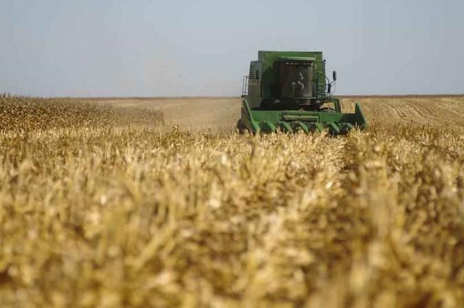 A agropecuária cresceu 1,4%(foto: Rafael Ohana/CB/D.A Press) A agropecuária cresceu 1,4%(foto: Rafael Ohana/CB/D.A Press)