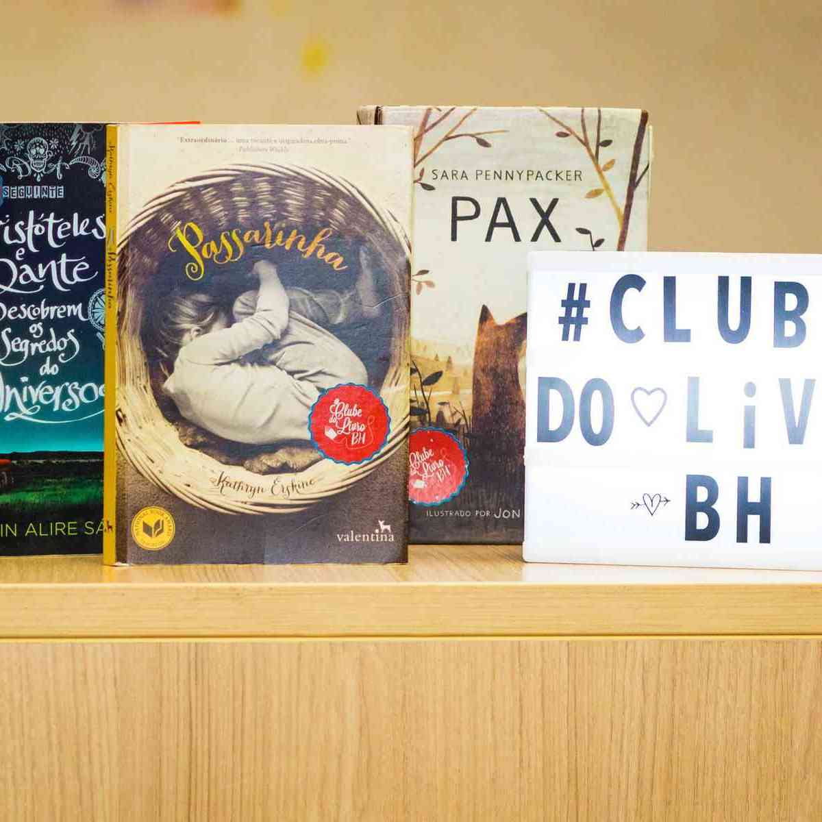 Nosso clube do livro!: Mas afinal, o que é literatura?