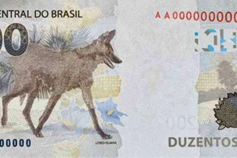 Criada para suprir papel-moeda nos pagamentos do auxlio emergencial, cdula compra, hoje, produtos que enchem trs sacolas de supermercado