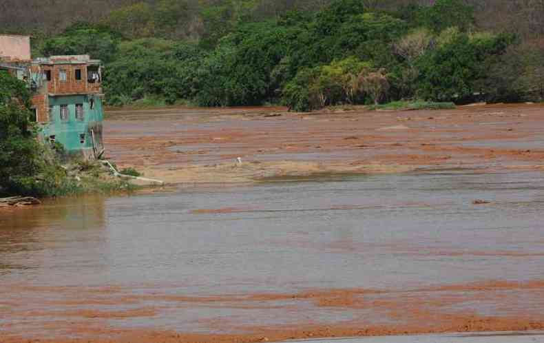 Rejeitos de minrio que atingiram o Rio Doce causaram a morte de vrios peixes(foto: Gladyston Rodrigues/EM/D.A.Press)