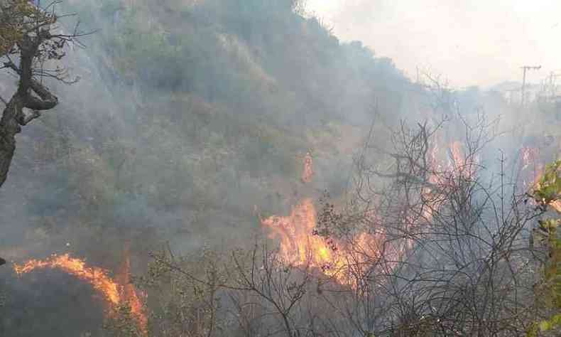 A vegetao est queimando em Minas, em parte devido  longa estiagem(foto: CBMMG/Divulgao )